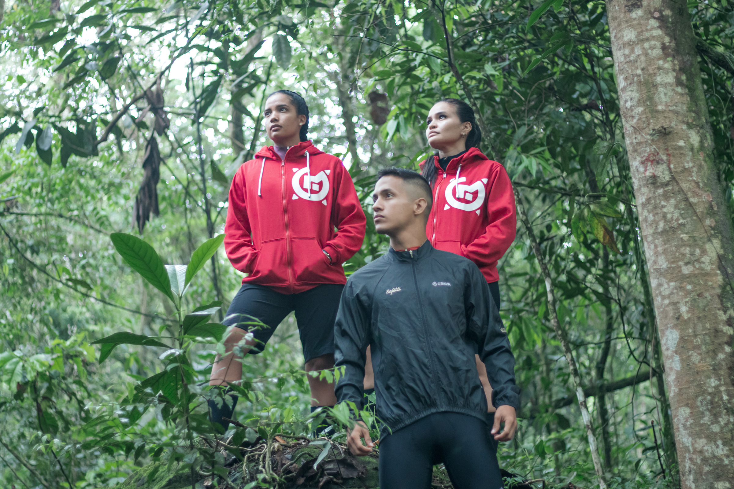 Hoodie Collection