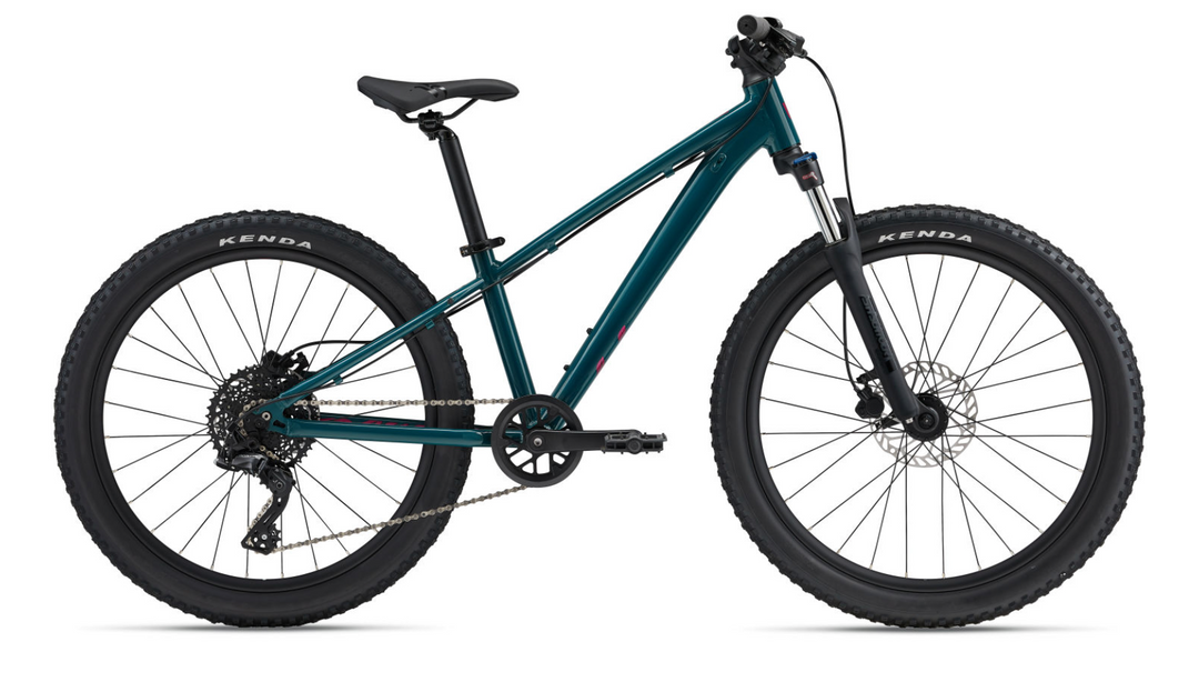 Giant Liv FS 24