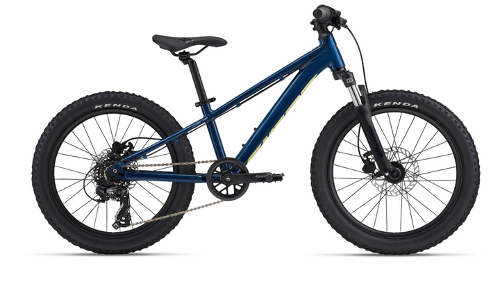 Giant STP 20" Kids Mountain Bike