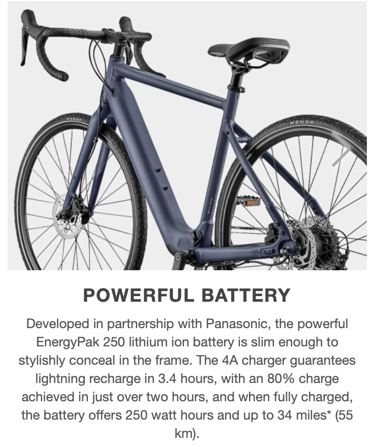 giant e fully 2019 Momentum Voya E+ 1