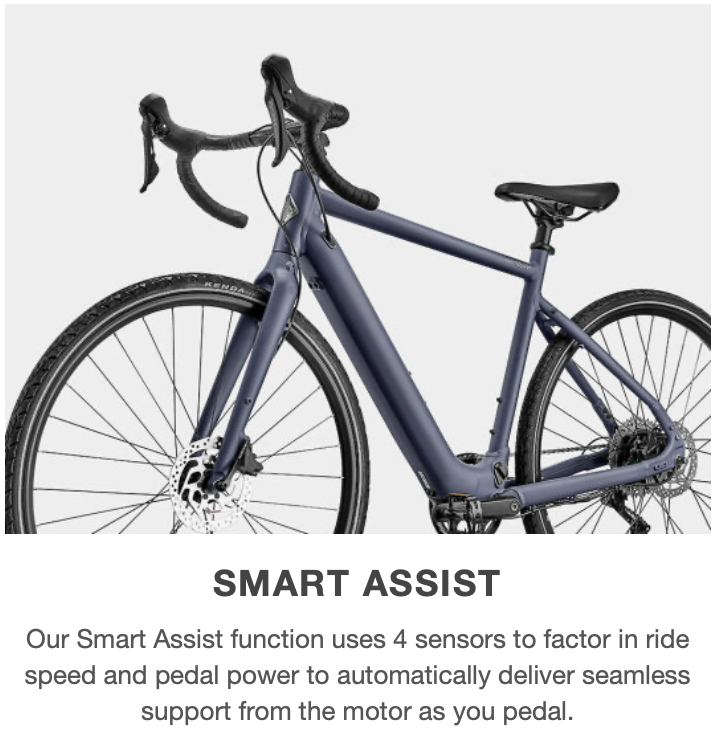 Giant Voya E+ 1 20mph – Grava Adventure Corporation
