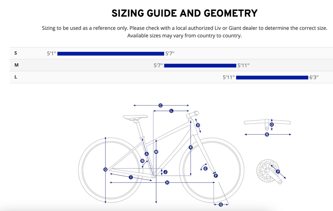 Giant Roam E+ STA 20mph