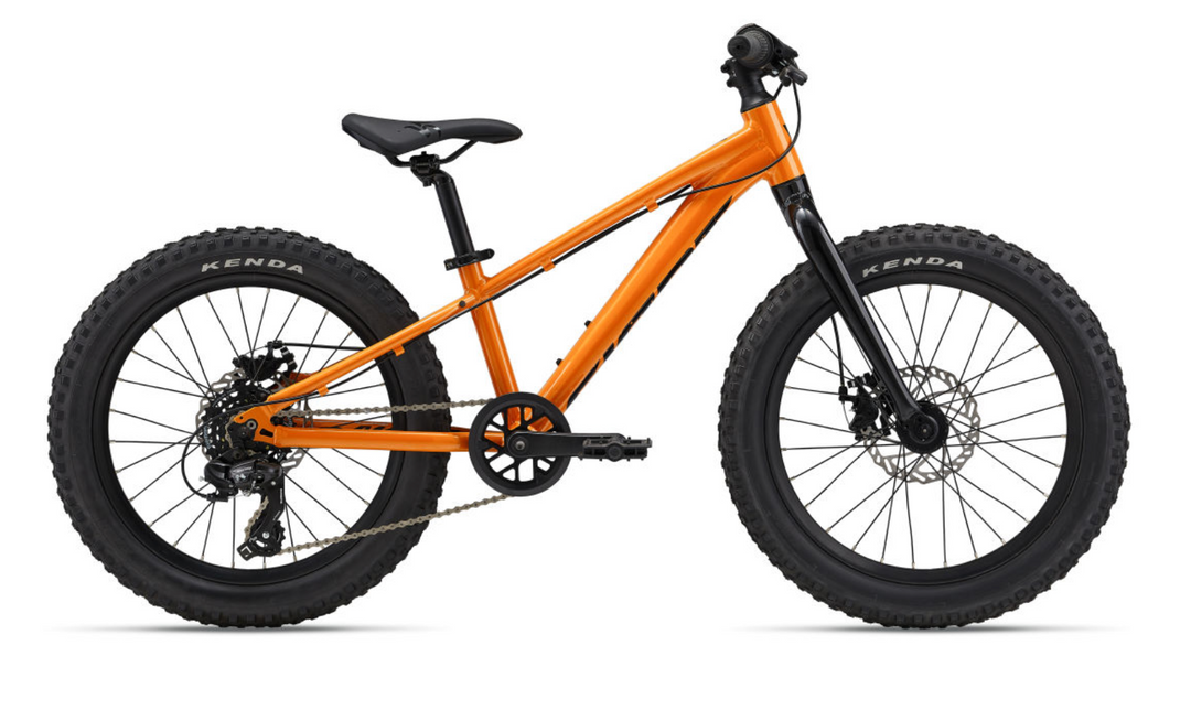 Giant STP 20" Kids Mountain Bike