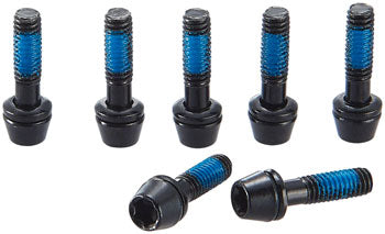 Ritchey WCS C260 Replacement Stem Bolts | M4 x 15mm | Torx T20 | Set