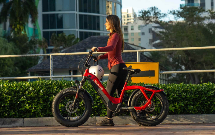 Velowave Pony Compact Step-Thru E-Bike – 750 W Hub Motor, 48 V 15 Ah Battery