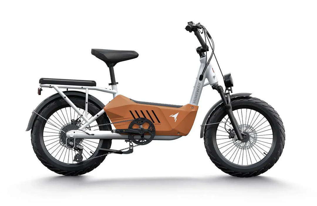 Himiway C3 Cargo E-Bike – 750 W Hub Motor, 48 V 20 Ah Battery