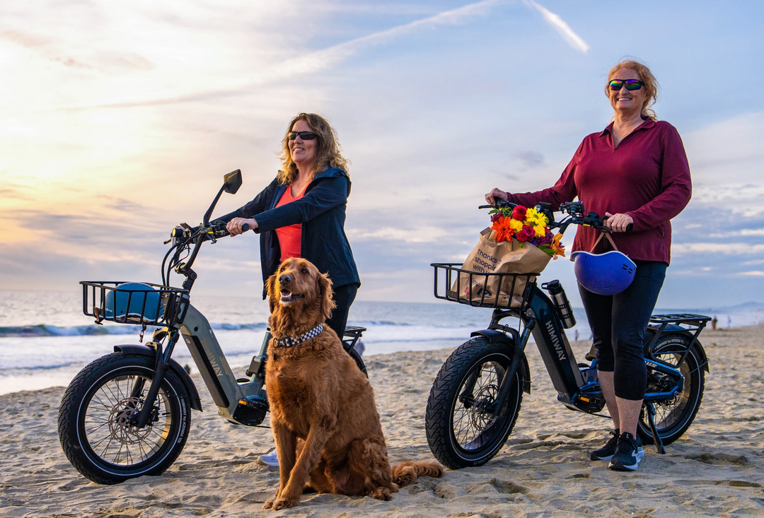 Himiway D5 2.0 20" Full Suspension Fat Tire E-Bike – 750W – 48V 20Ah – Step-Over / Step-Thru