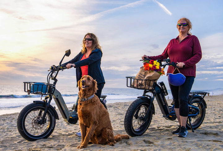 Himiway D5 2.0 20" Full Suspension Fat Tire E-Bike – 750W – 48V 20Ah – Step-Over / Step-Thru